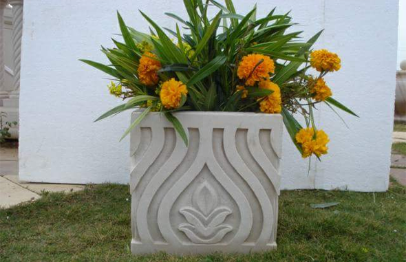 Plant port